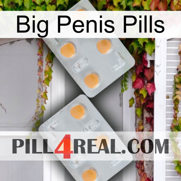 Big Penis Pills 25.jpg